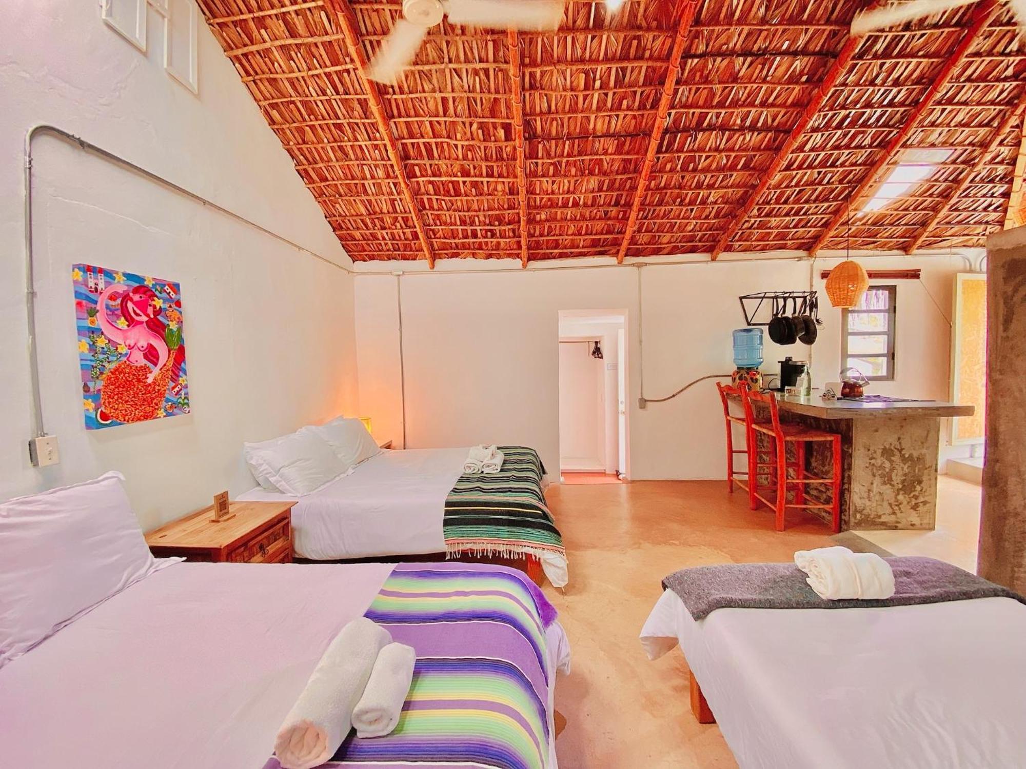 Perro Surfero Hotel Todos Santos Exterior foto