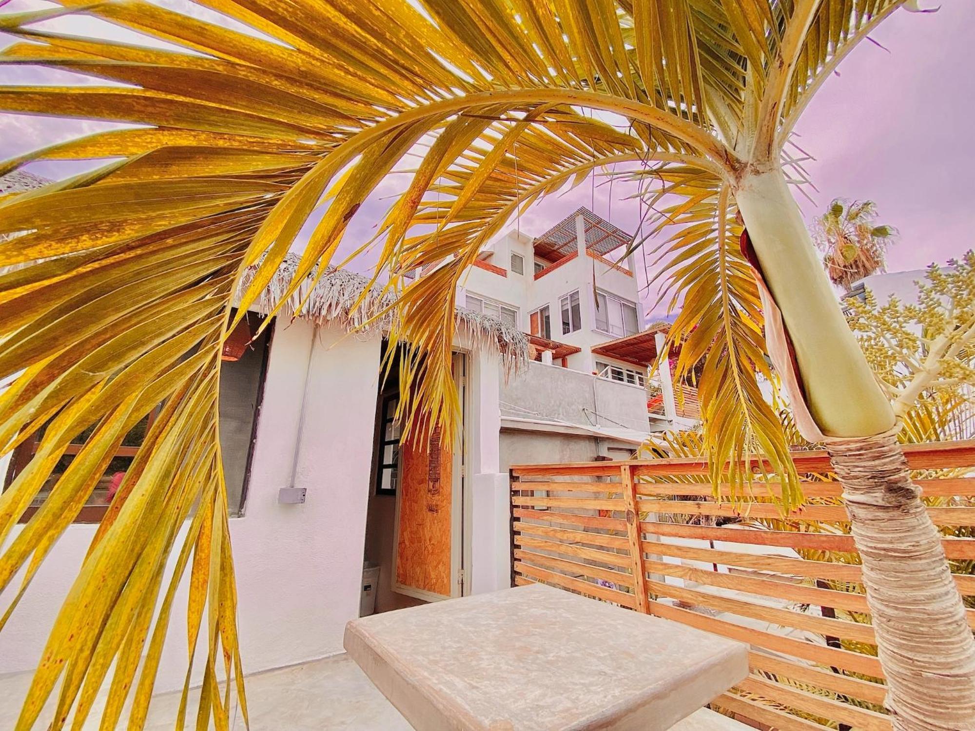 Perro Surfero Hotel Todos Santos Exterior foto